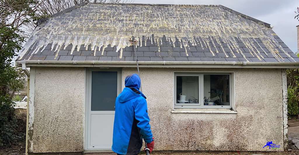 Roof Moss Removal